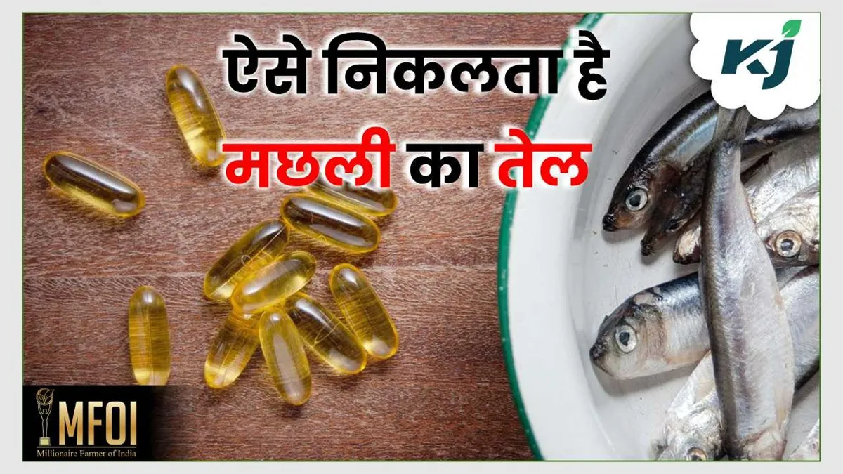 /img/26510-fish-oil-supplements-label.webp