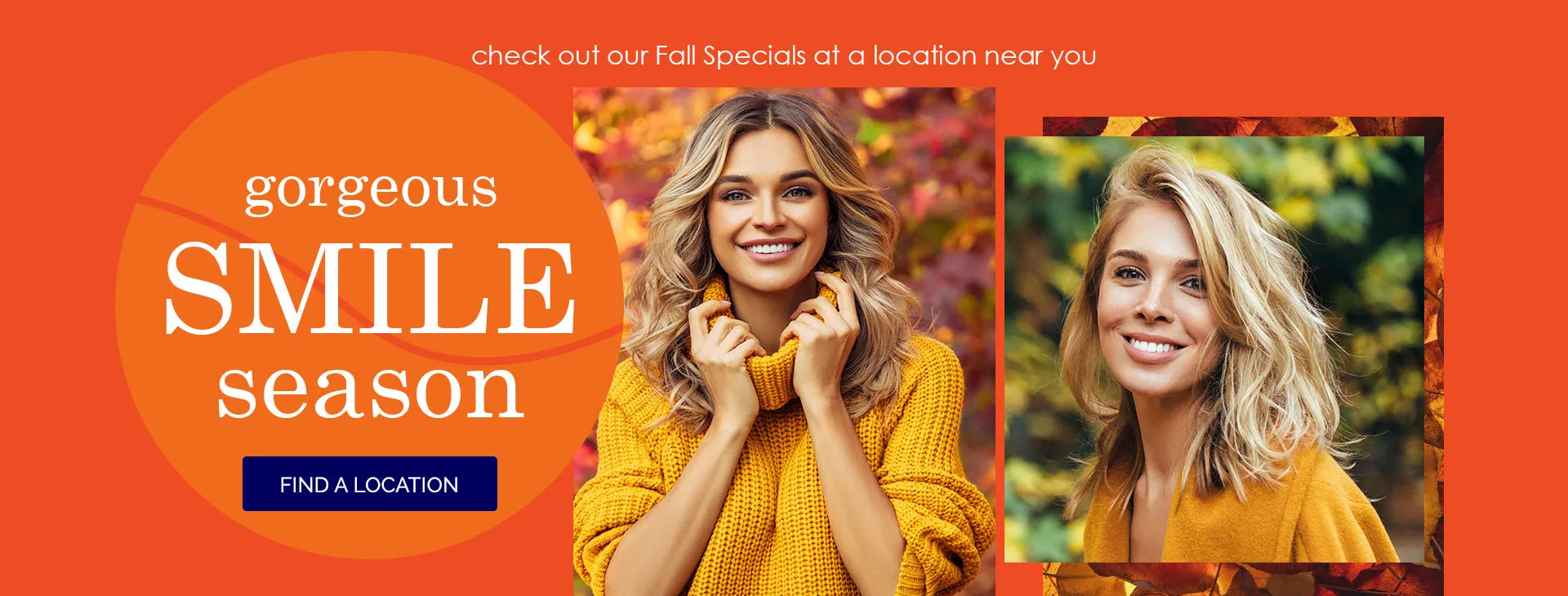 26541 professional teeth whitening