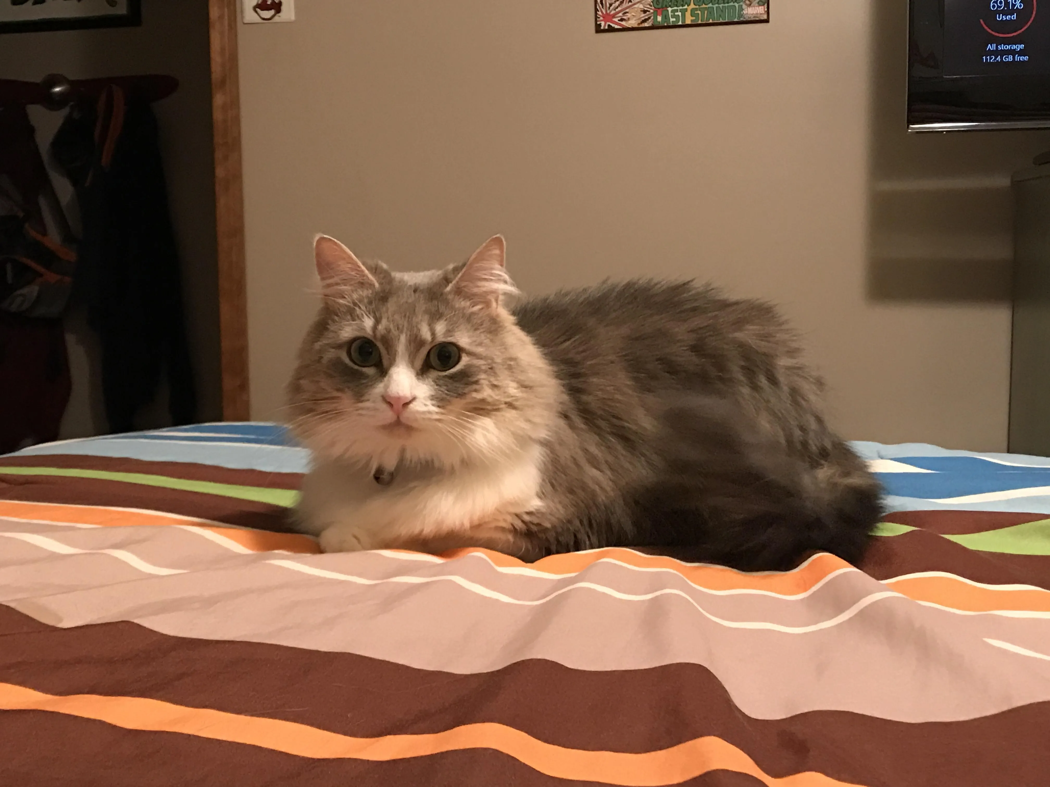 26570 teeth whitening before after