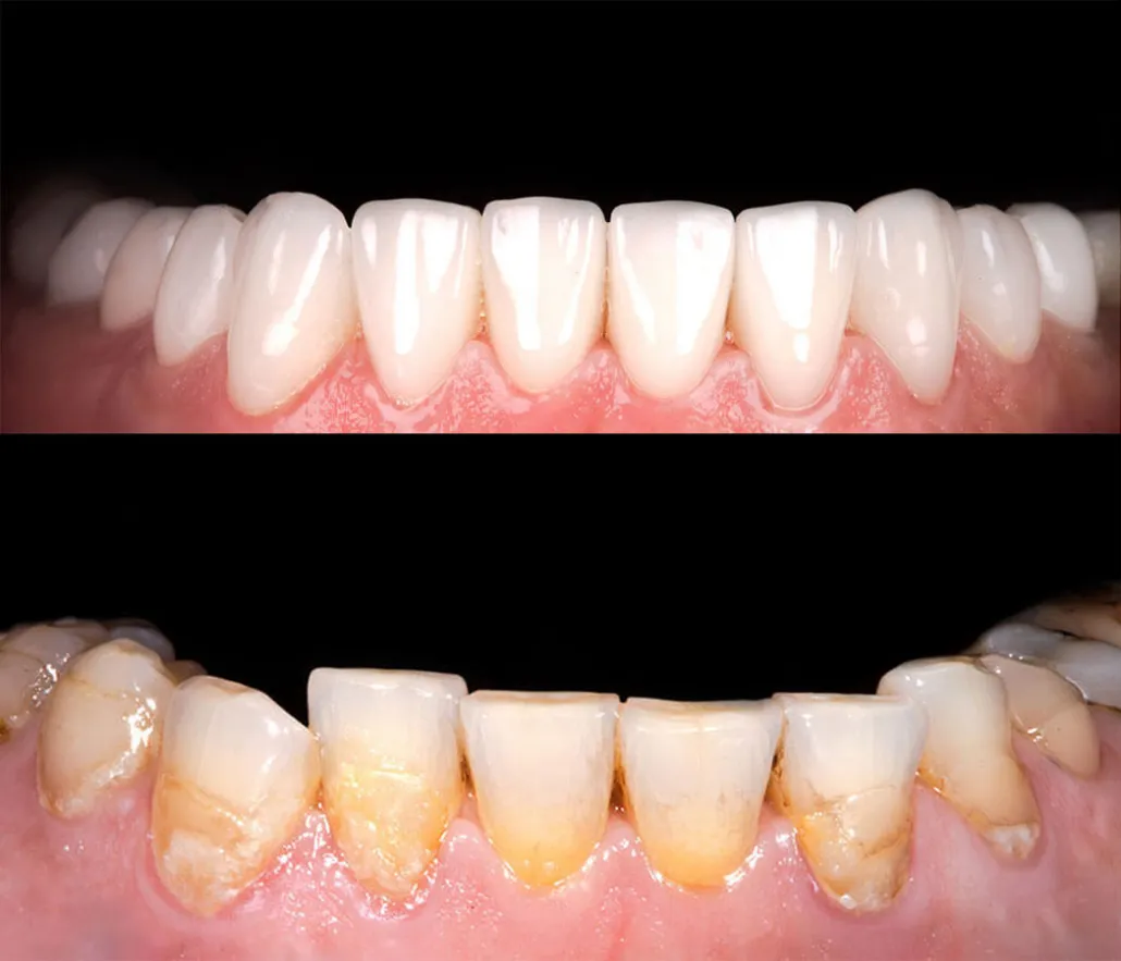 26602 dental consultation