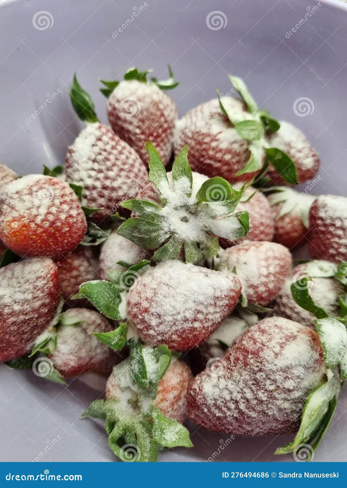 26642 whitening mixture